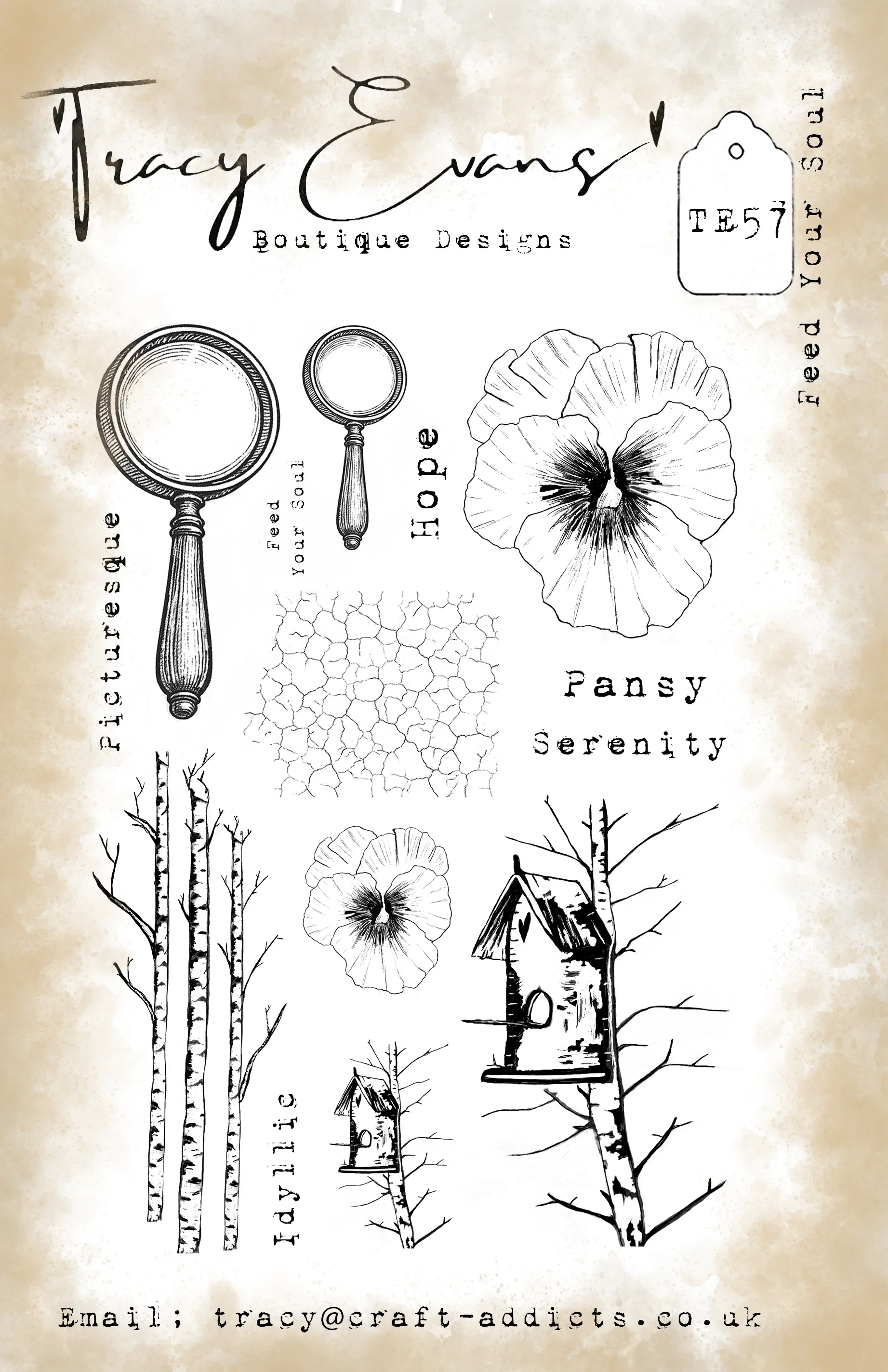 La beauté d'une fleur : matric - Candle Making Guide avis et prix